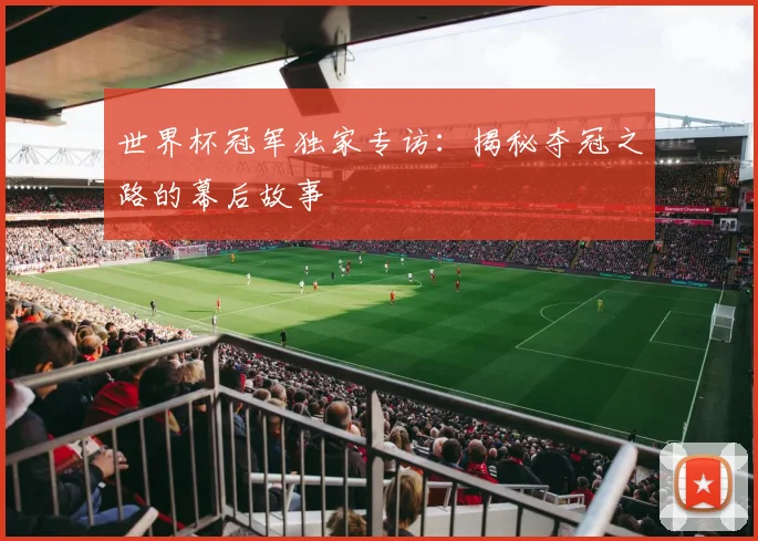 世界杯冠军独家专访：揭秘夺冠之路的幕后故事