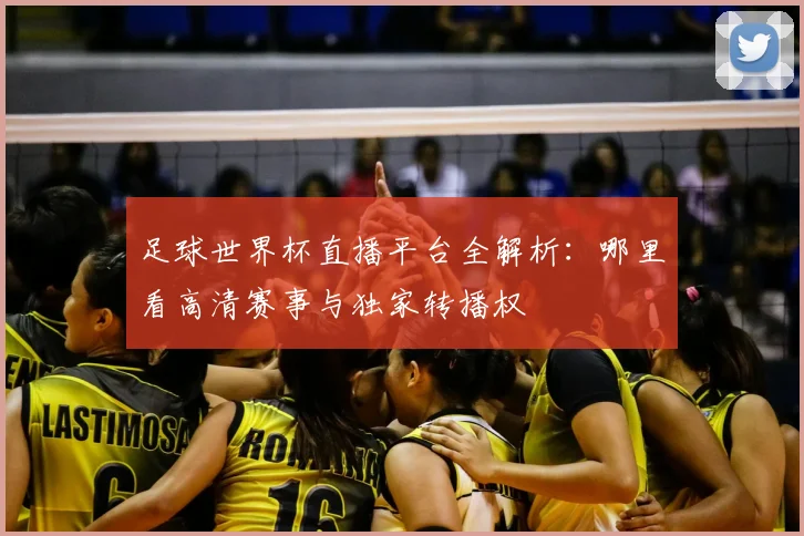 足球世界杯直播平台全解析：哪里看高清赛事与独家转播权